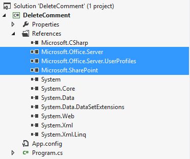 Assemblies in Solution Explorer